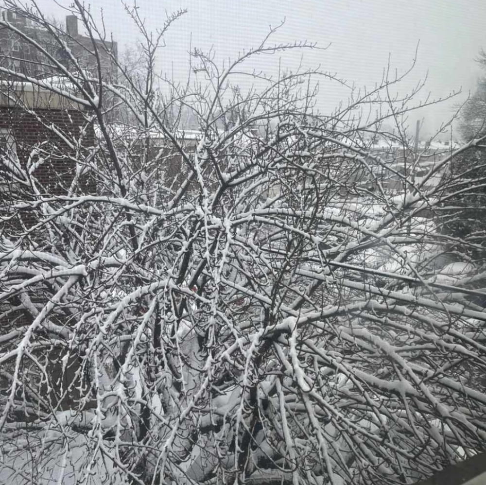 Meet your Posher, Nanya